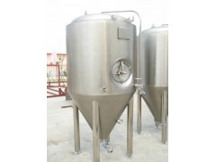 7BBL啤酒发酵罐图1