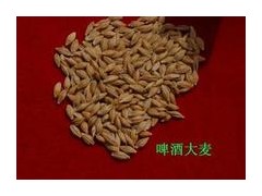 武汉绿健饲料有限公司求购大麦小麦碎米图1