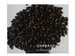 啤酒原料，焦香麦芽，黑麦芽图1