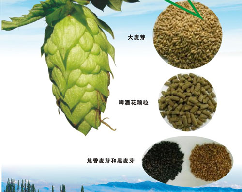 简介：