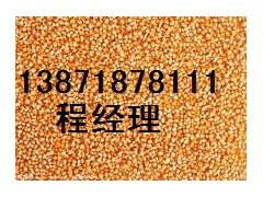 久禽求购啤酒大麦图1