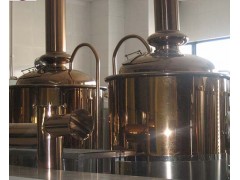 小型自酿啤酒厂图1