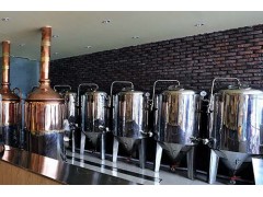 100升小型自酿啤酒 设备图1