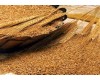 供应优质进口澳麦，啤酒大麦，饲料大麦，