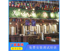 山东精鹰-1000L糖化过滤槽 酒店精酿啤酒设备图3