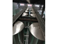 山东精鹰——大型精酿啤酒厂生产线图3