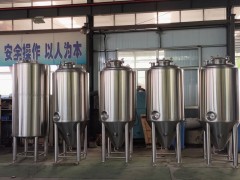 山东精鹰——300L啤酒设备图3